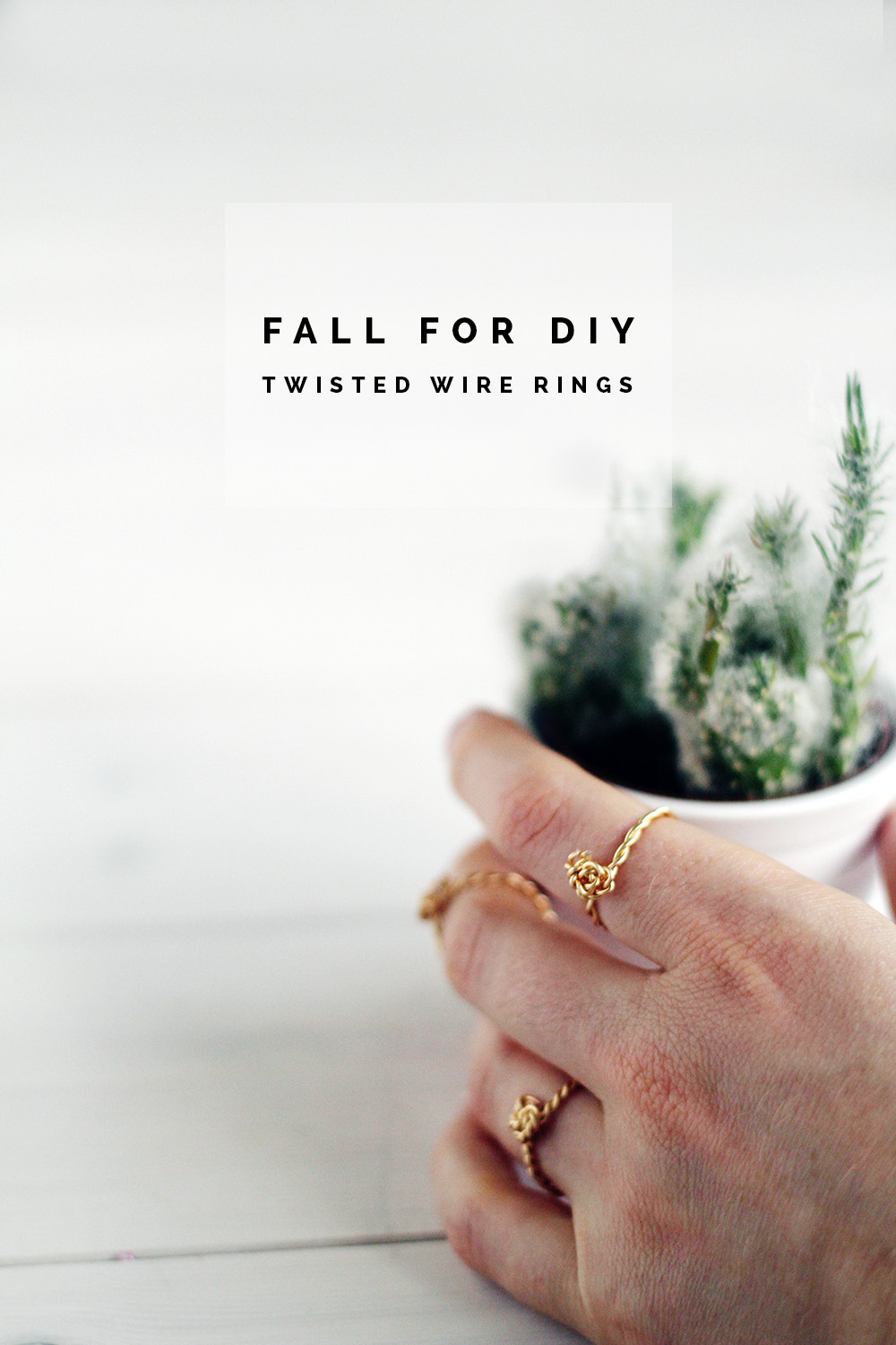 DIY Twisted Rings