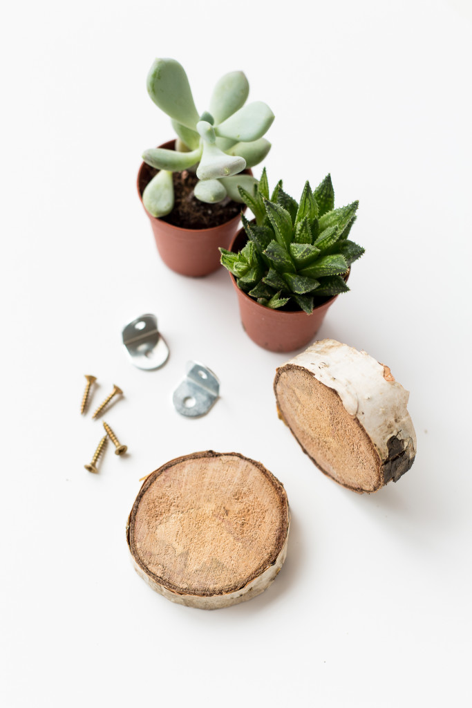 Birch Slice Floating Plant Shelves Materials | @fallfordiy-1