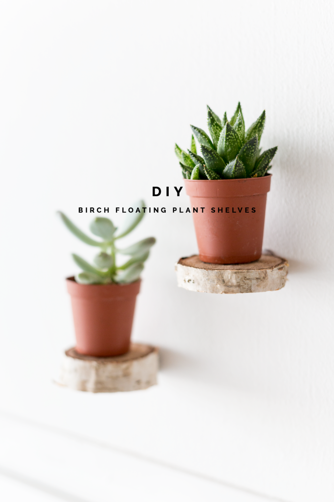 DIY Birch Slice Floating Plant Shelves Tutorial | @fallfordiy