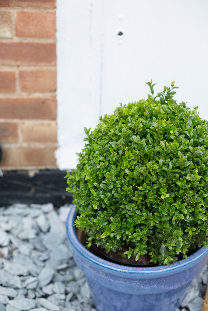 Entrance makeover before and After | @fallfordiy