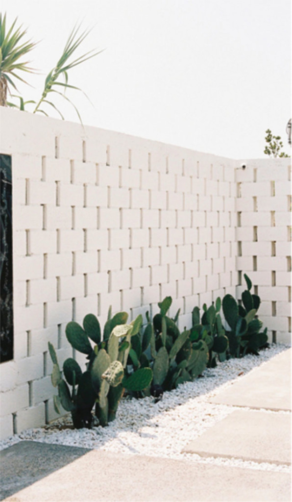 Home entrance inspiration cactus garden