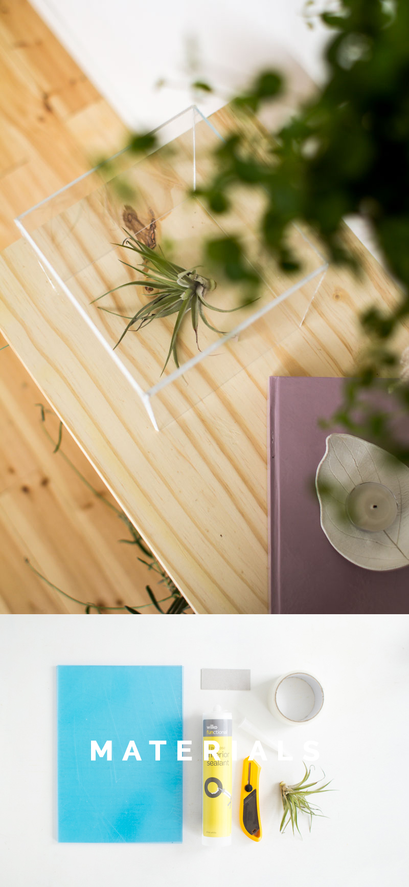 How To Make An Artistic Air Plant Holder • Creatorvox