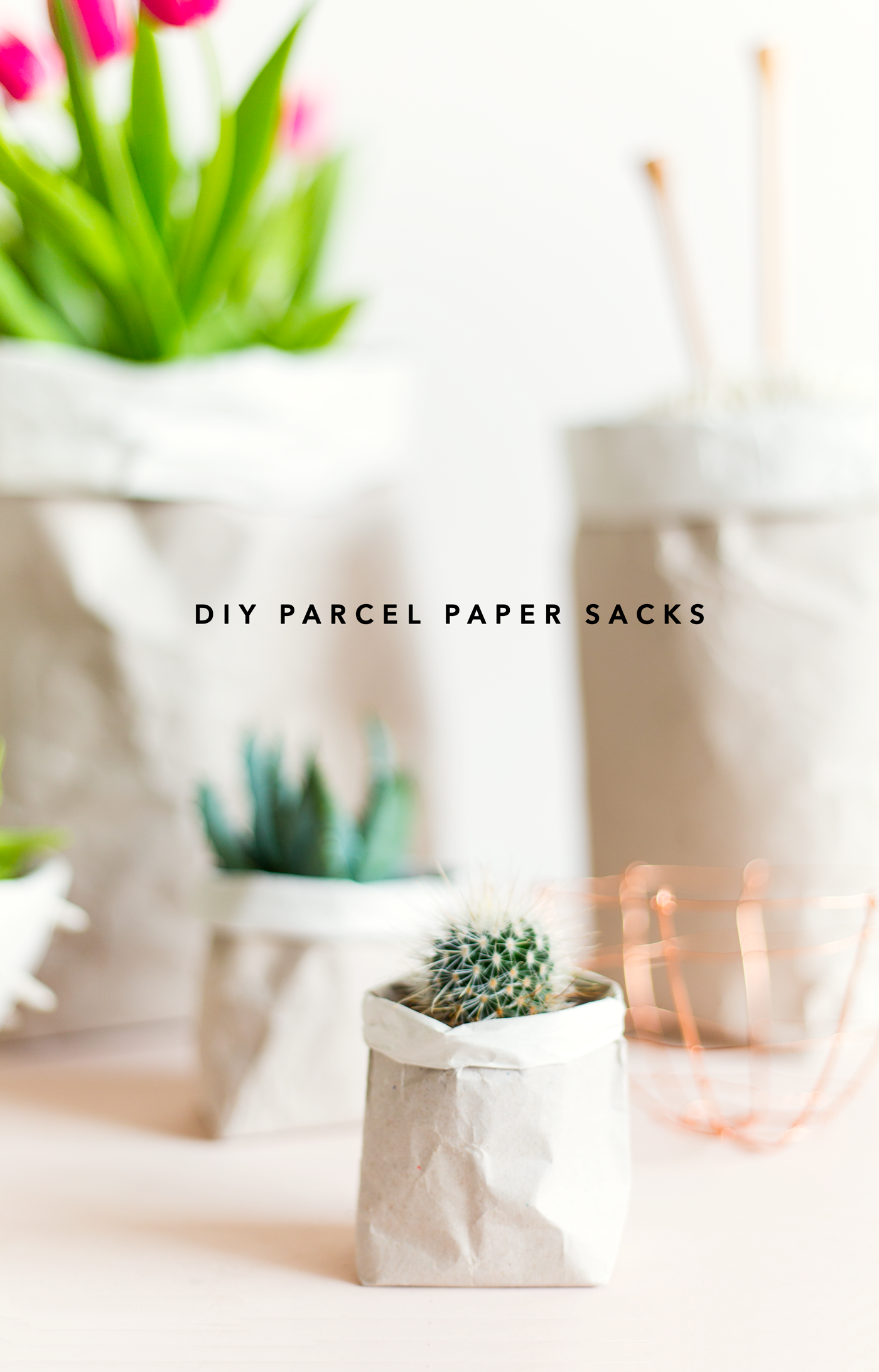 6 DIY easy to make plant pots and vases. 