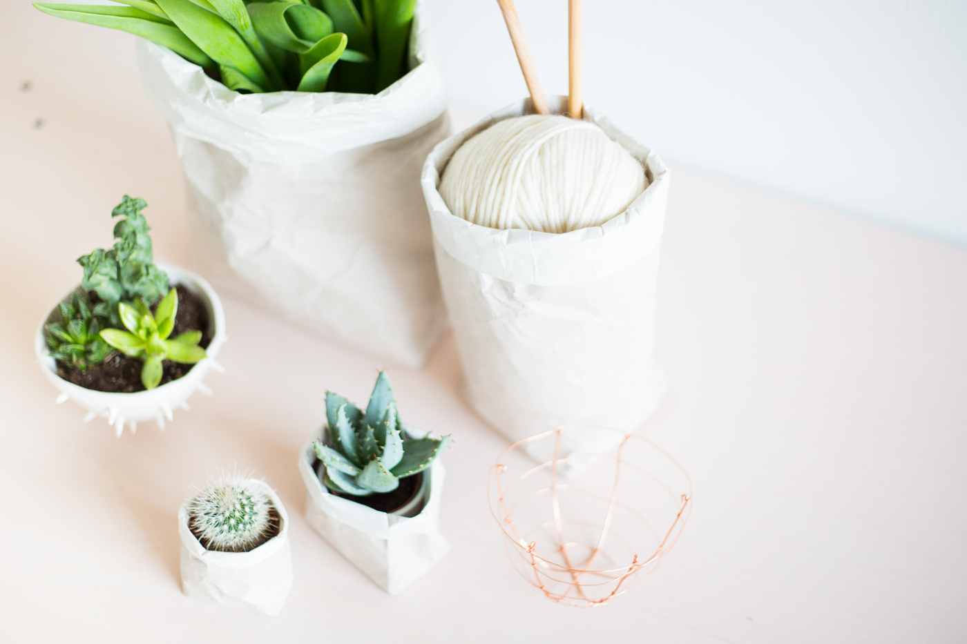 DIY Paper Bag Planters • Sage to Silver