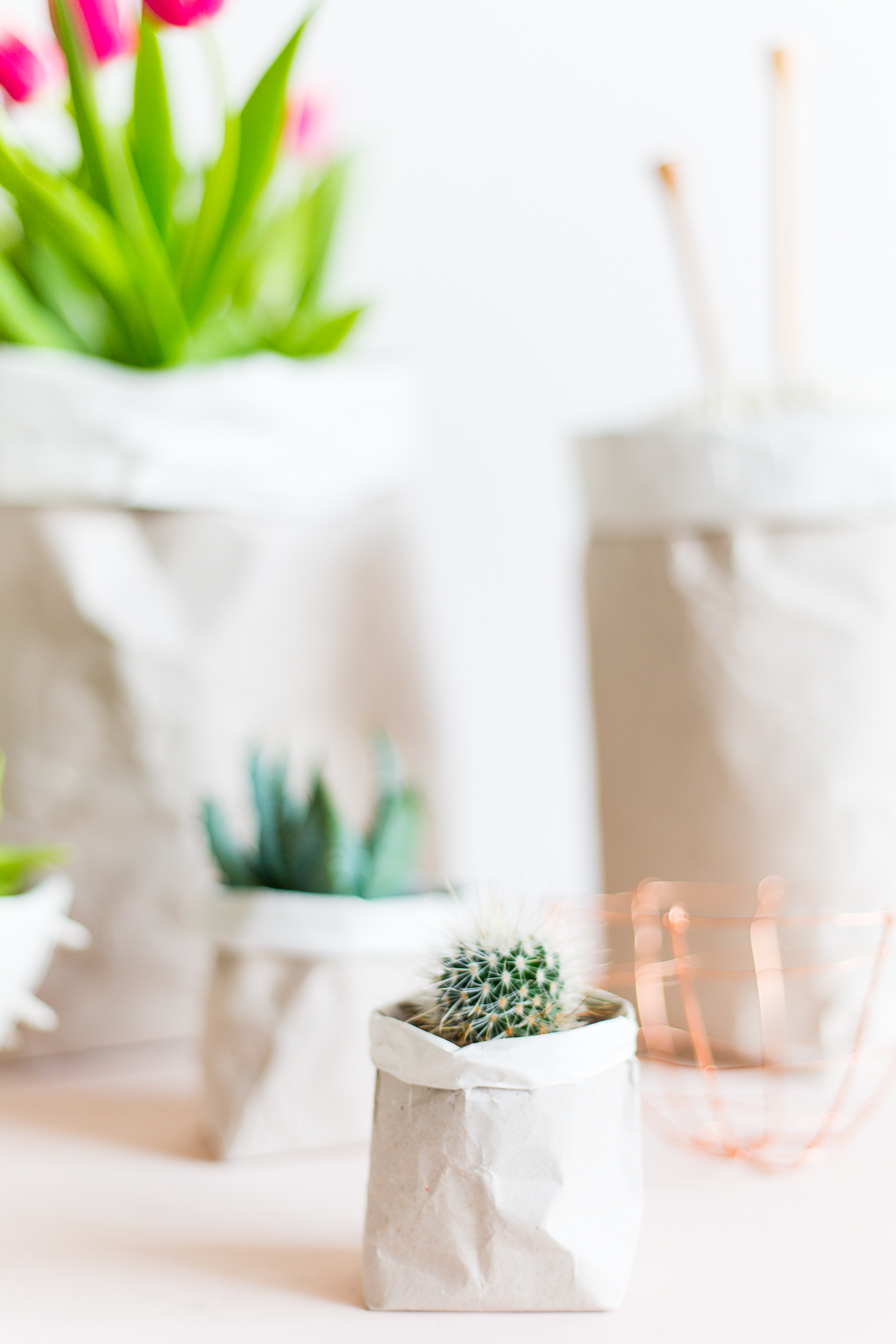 DIY Packing Paper Sack Planters | @fallfordiy