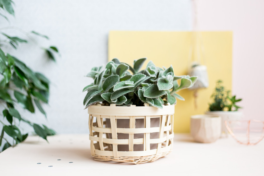 Weave your own Basket Planter | Fall For DIY