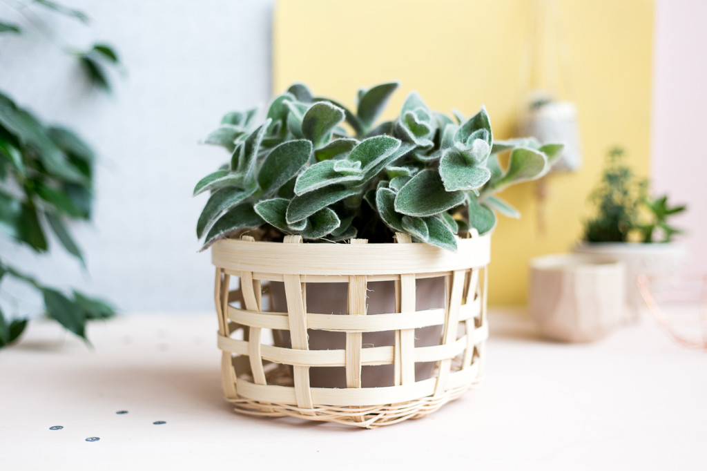 Weave your own Basket Planter | Fall For DIY