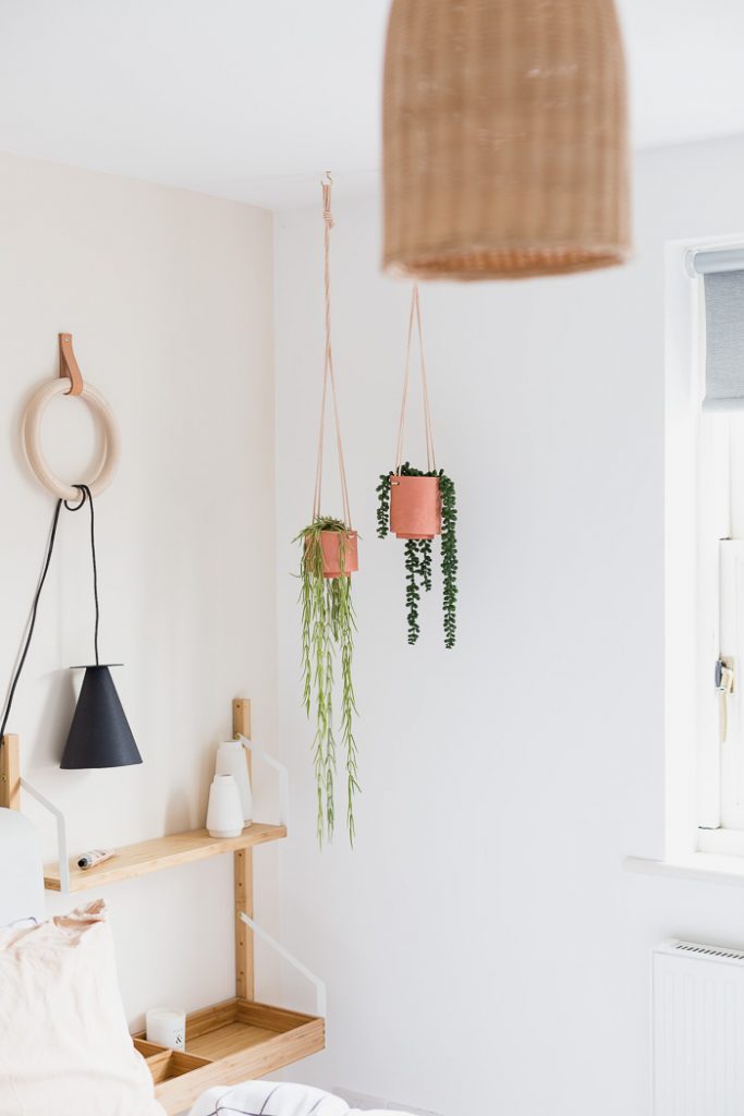 DIY Terracotta Clay Hanging Planters