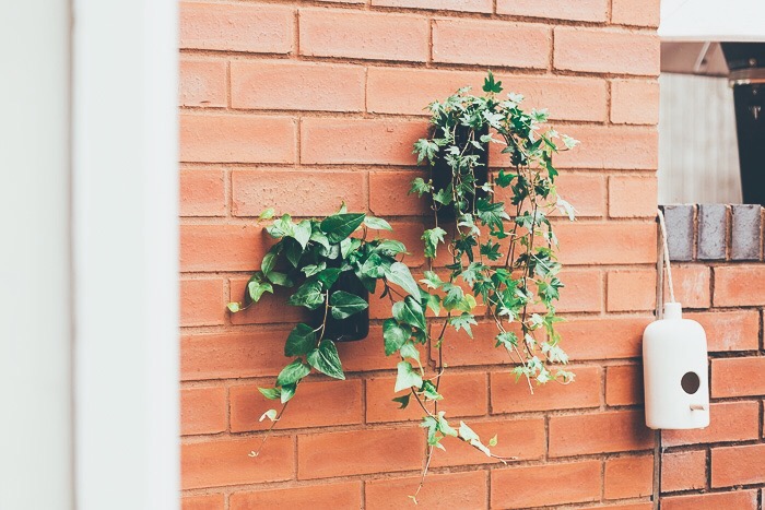 wall planters diy