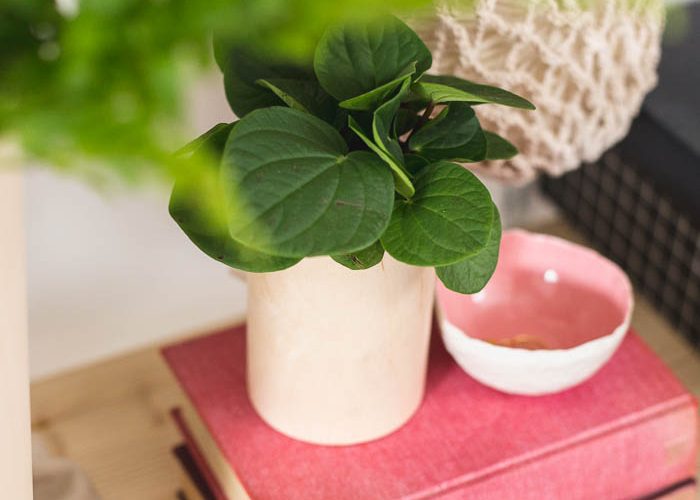 DIY Plywood Wrapped Planters | @fallfordiy