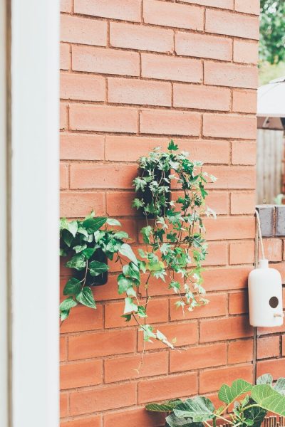 Upcycle these Planters in Minutes! DIY Outdoor Wall Planters