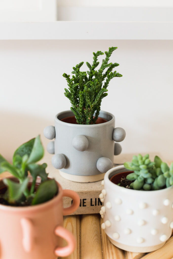 DIY Easy Planter | Fall For DIY