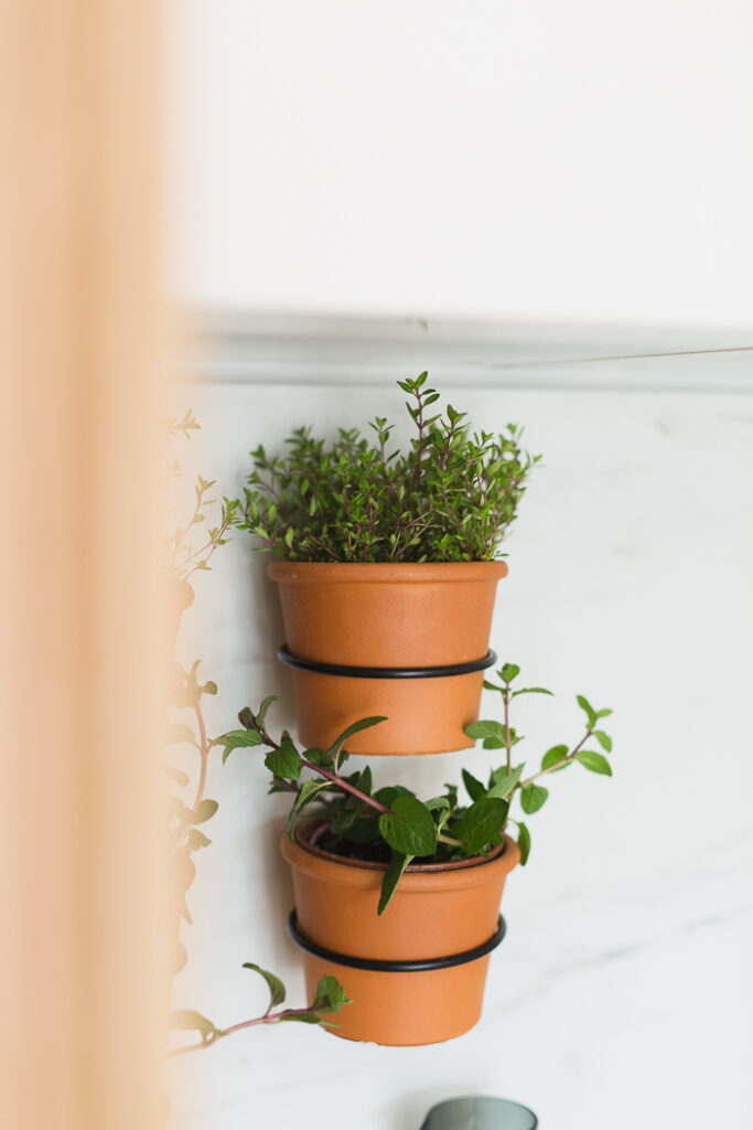 indoor wall herb garden