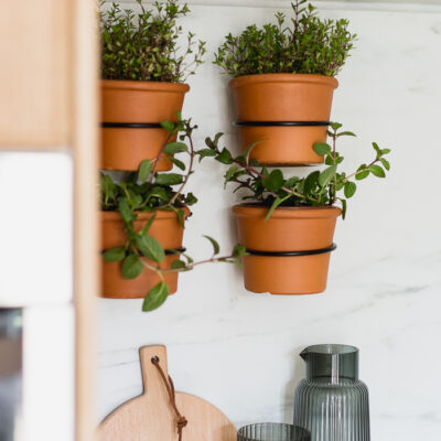 herb garden mounted on kitchen wall
