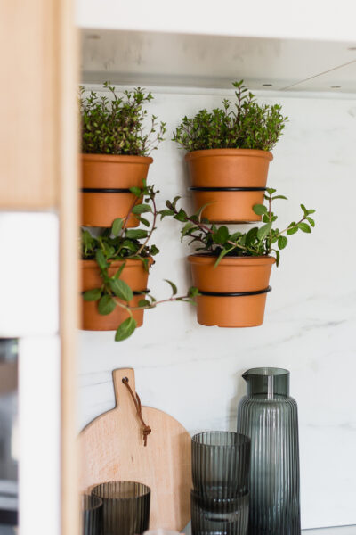 herb garden mounted on kitchen wall