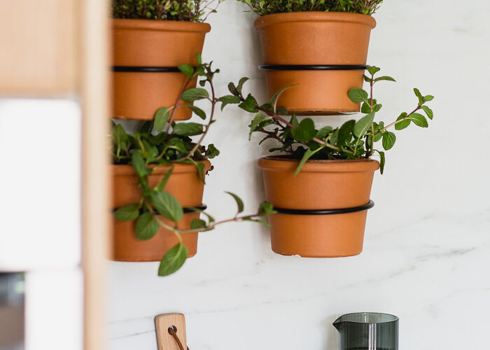 herb garden mounted on kitchen wall