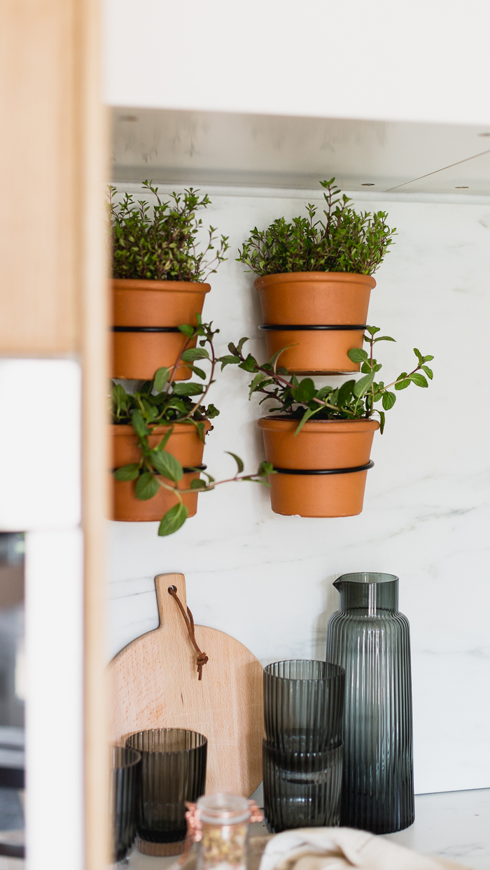 indoor living herb wall