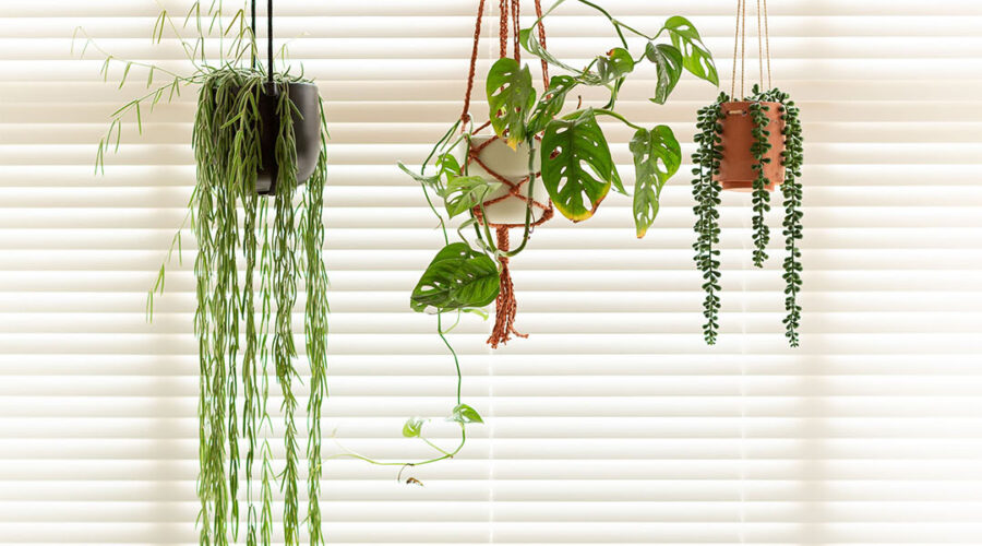 DIY Raffia Hanging Planter Kit